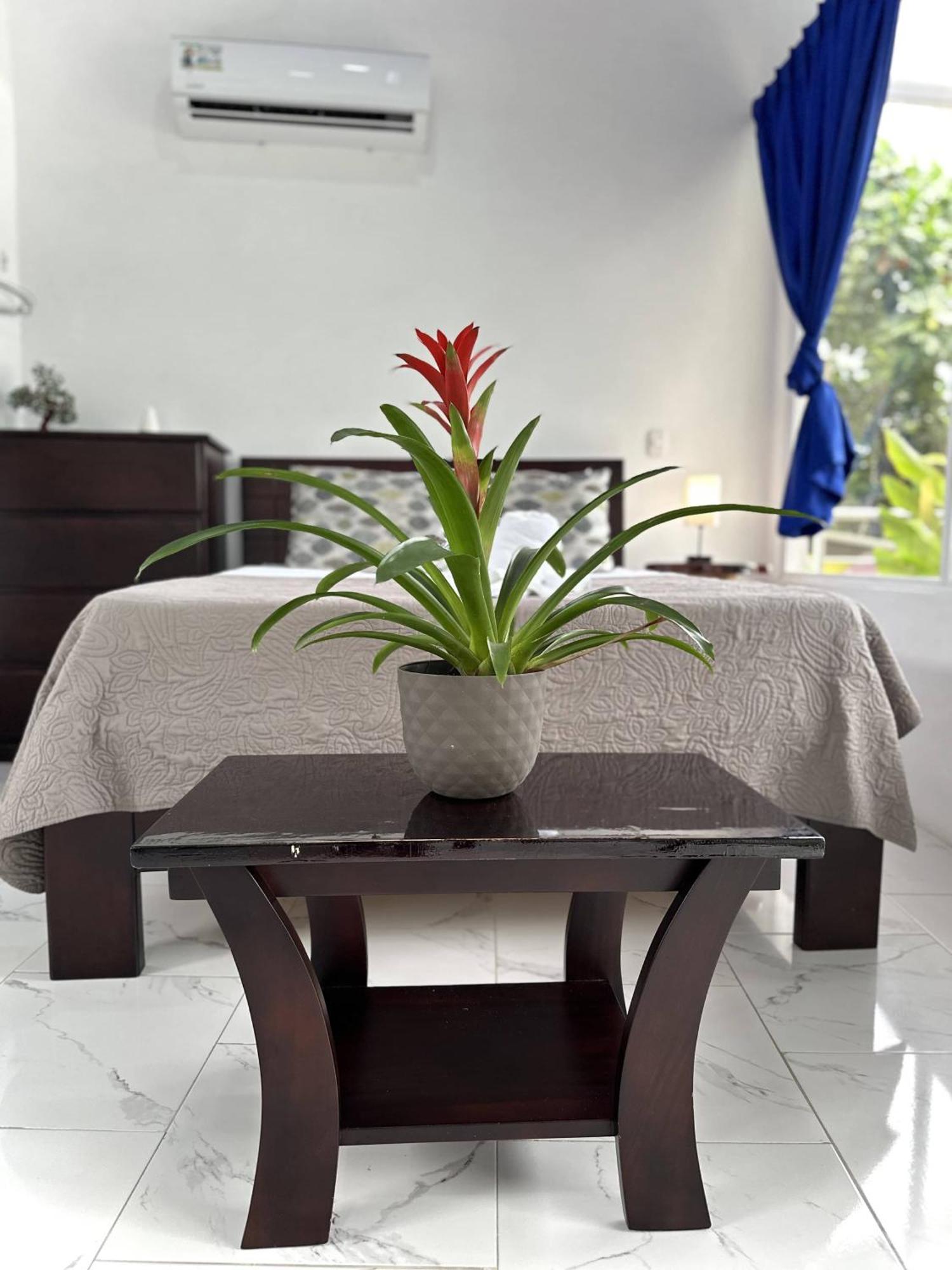 Serendipity Hotel