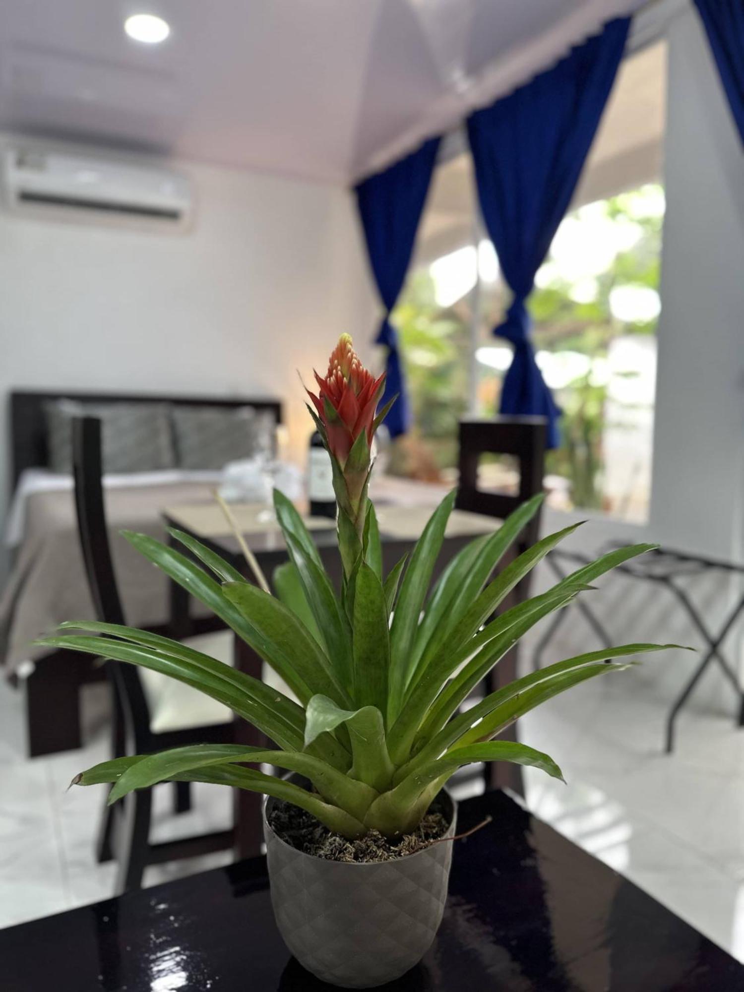 Serendipity Hotel